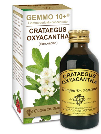 GEMMO 10+ BIANCOSPINO LIQUIDO ANALCOLICO 100 ML - Farmaunclick.it