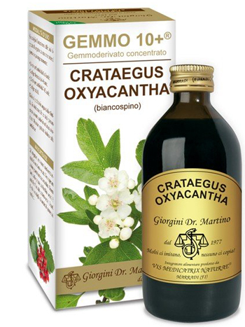 GEMMO 10+ BIANCOSPINO LIQUIDO ANALCOLICO 200 ML - Farmaunclick.it