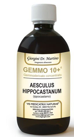 GEMOO 10+ GEMMODERIVATO CONCENTRATO IPPOCASTANO LIQUIDO ANALCOLICO AESCULUS HIPPOCASTANUM IPPOCASTANO 500 ML - Farmaunclick.it