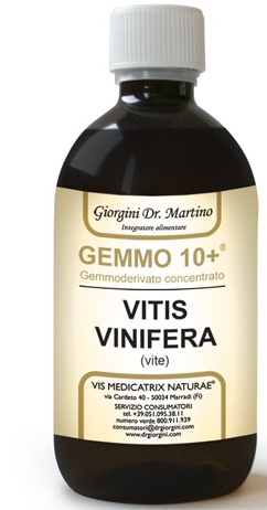 GEMMO 10+ VITE LIQUIDO ANALCOLICO 100 ML - Farmaunclick.it