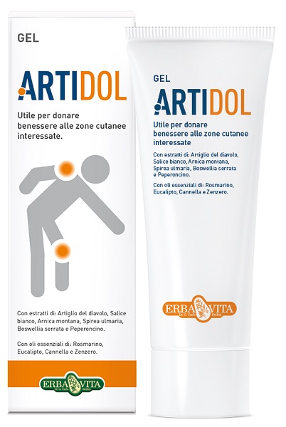 ARTIDOL GEL 100 ML - Farmaunclick.it