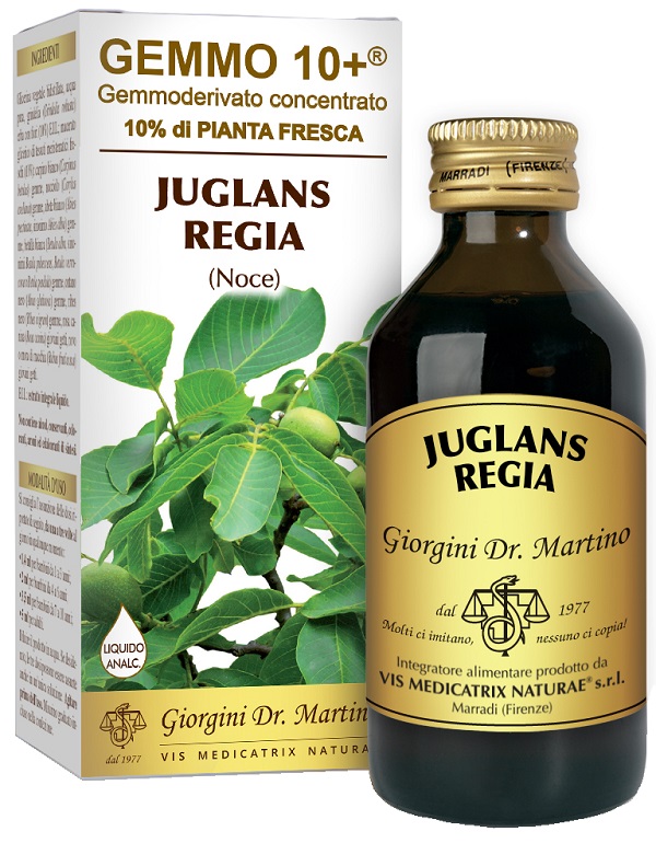 GEMMO 10+ NOCE 100 ML LIQUIDO ANALCOLICO - Farmaunclick.it
