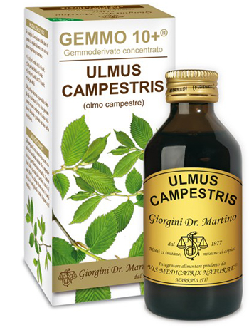 GEMMO 10+ OLMO CAMPESTRE 100 ML LIQUIDO ANALCOLICO - Farmaunclick.it