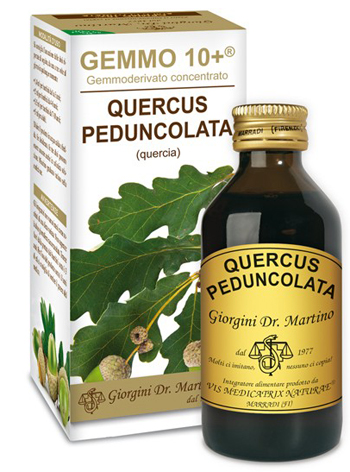 GEMMO 10+ QUERCIA 100 ML LIQUIDO ANALCOLICO - Farmaunclick.it