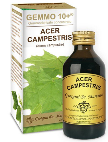 GEMMO 10+ ACERO CAMPESTRE 100 ML LIQUIDO ANALCOLICO - Farmaunclick.it