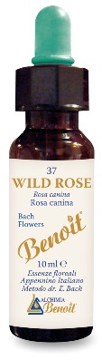 FIORI DI BACH BENOIT WILD ROSE 10 ML - Farmaunclick.it