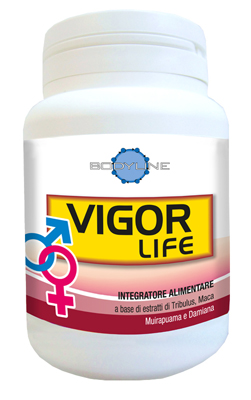 VIGOR LIFE 40 CAPSULE - Farmaunclick.it