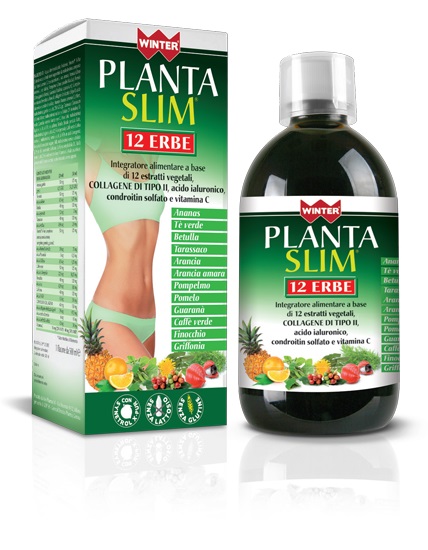 WINTER PLANTA SLIM 12 ERBE 500 ML - Farmaunclick.it