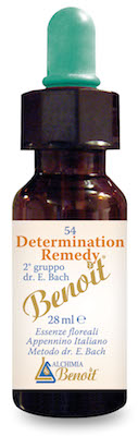 DETERMINATION REMEDY 28 ML - Farmaunclick.it