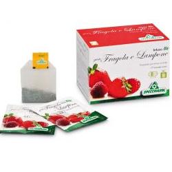 INFUSO FRAGOLA/LAMPONE 20 FILTRI - Farmaunclick.it