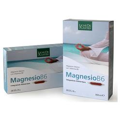 MAGNESIO B6 20 AMPOLLE BEVIBILI DA 15 ML - Farmaunclick.it