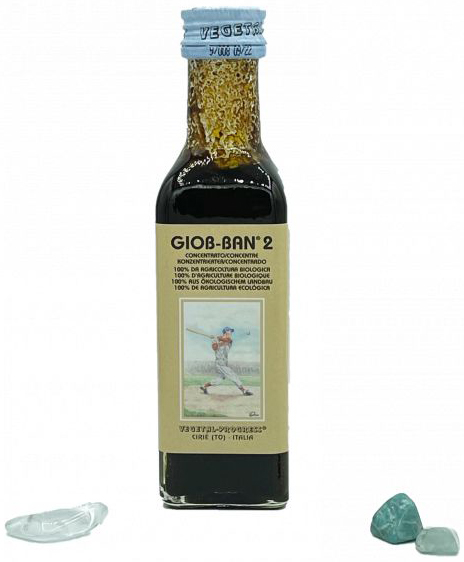 GIOB BAN 2 ART ESTRATTO CONCENTRATO BIOLOGICO 100 ML - Farmaunclick.it