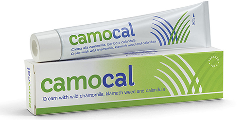 CREMA VEGETALE PER LE AFFEZIONI ANALI CAMOCAL 50 ML - Farmaunclick.it