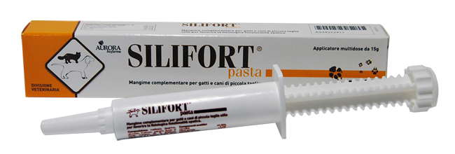SILIFORT PASTA OS SIRINGA 15 G - Farmaunclick.it