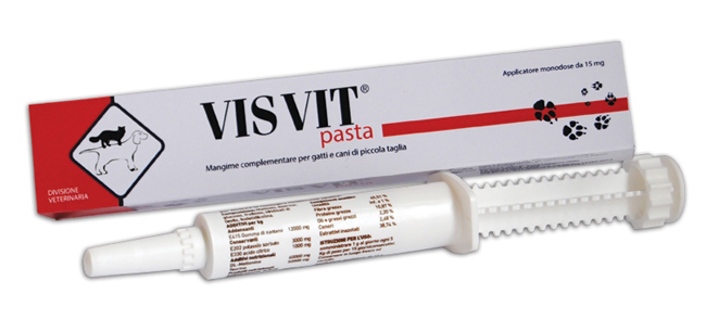 VISVIT PASTA OS SIRINGA 15 G - Farmaunclick.it