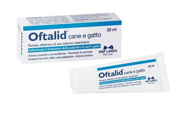 OFTALID POMATA OFTALMICA 20 ML - Farmaunclick.it