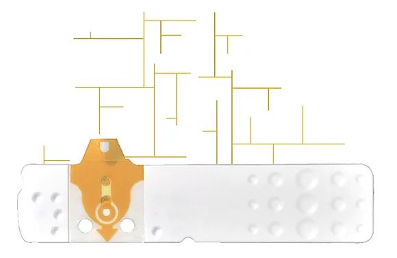 STRISCE MISURAZIONE GLICEMIA LINEA D ORO 50 PEZZI - Farmaunclick.it