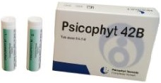PSICOPHYT REMEDY 42B 4 TUBI 1,2G - Farmaunclick.it
