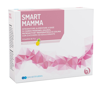 SMART MAMMA 14 BUSTINE GUSTO ANANAS - Farmaunclick.it