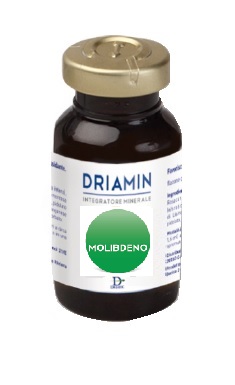 DRIAMIN MOLIBDENO 15 ML - Farmaunclick.it