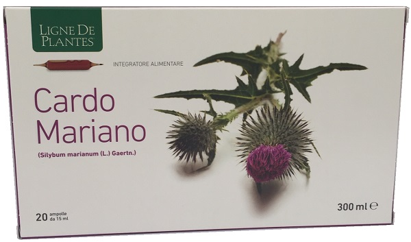CARDO MARIANO BIOLOGICO 20 AMPOLLE BEVIBILI DA 15 ML - Farmaunclick.it