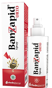 BANZAPID SPRAY TRATTAMENTO 100 ML - Farmaunclick.it