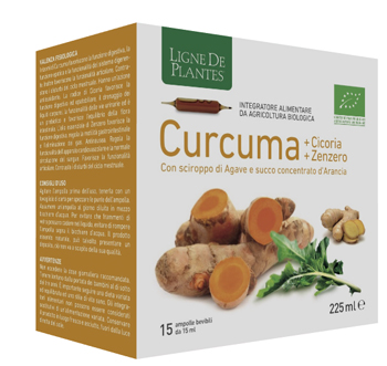 CURCUMA CICORIA ZENZERO BIO 15 AMPOLLE BEVIBILI DA 15 ML - Farmaunclick.it