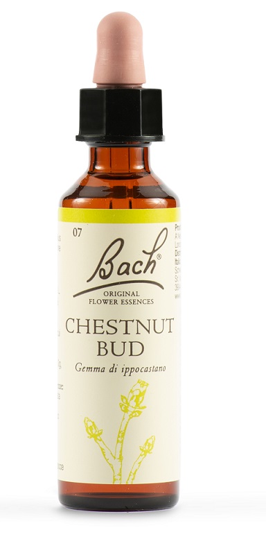 CHESTNUT BUD BACH ORIG 20 ML - Farmaunclick.it
