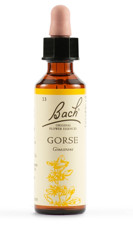 GORSE BACH ORIG 20 ML - Farmaunclick.it