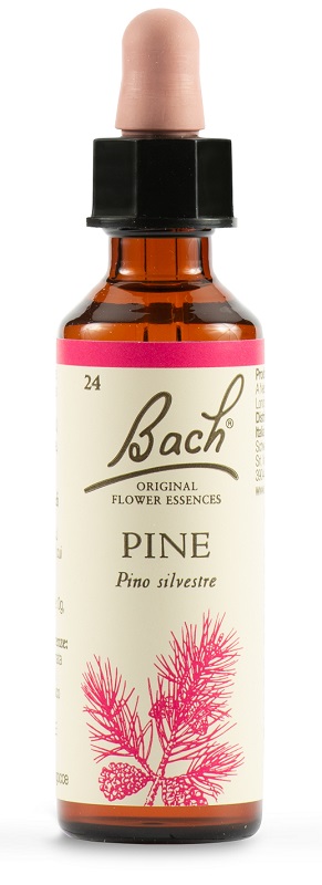 PINE BACH ORIG 20 ML - Farmaunclick.it