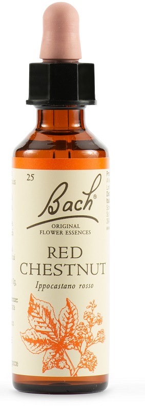 RED CHESTNUT BACH ORIG 20 ML - Farmaunclick.it
