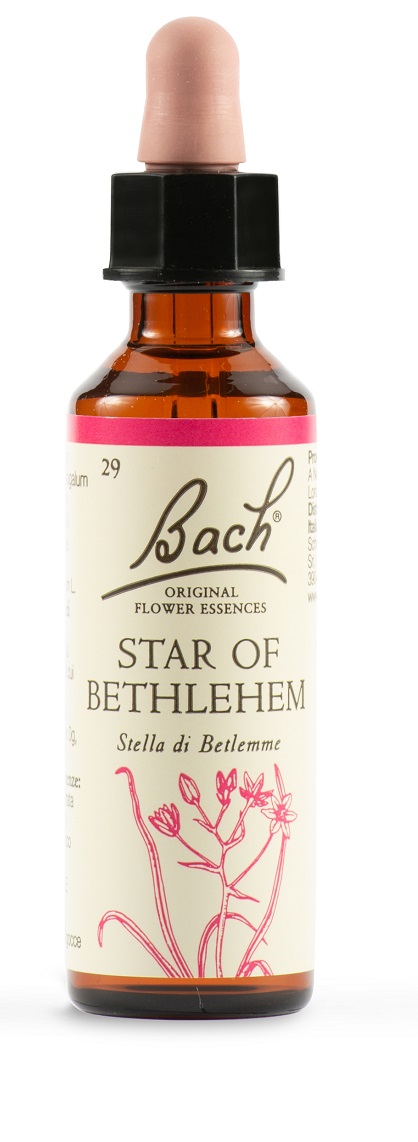 STAR OF BETHL ORIG 20 ML - Farmaunclick.it
