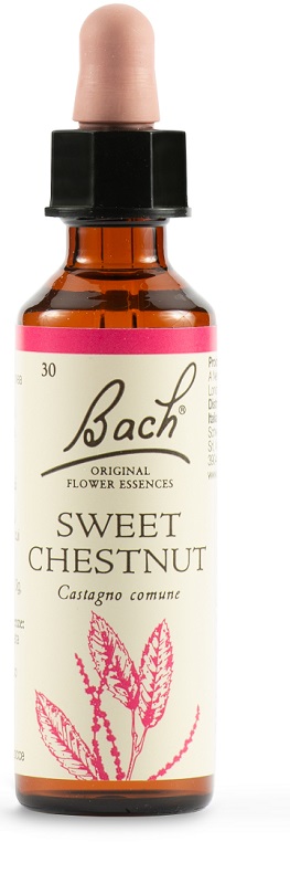 SWEET CHEST BACH ORIG 20 ML - Farmaunclick.it