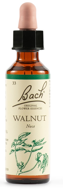 WALNUT BACH ORIG 20 ML - Farmaunclick.it