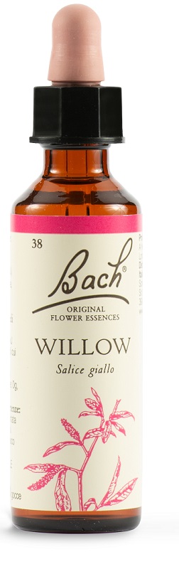 WILLOW BACH ORIG 20 ML - Farmaunclick.it