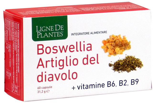 BOSWELLIA ARTIGLIO DIAVOLO VITAMINE B2 B6 B9 60 CAPSULE - Farmaunclick.it