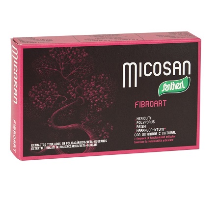 MICOSAN FIBROART 40 CAPSULE - Farmaunclick.it