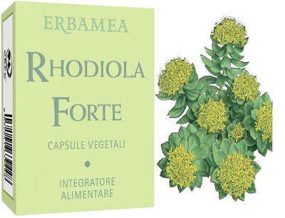 RHODIOLA FORTE 24 CAPSULE - Farmaunclick.it