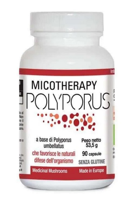 MICOTHERAPY POLYPORUS 90 CAPSULE - Farmaunclick.it