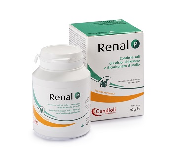 RENAL P MANGIME COMPLEMENTARE PER CANI E GATTI BARATTOLO 70 G - Farmaunclick.it