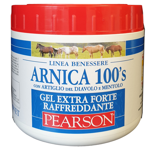 ARNICA 100'S EXTRA FORTE 500 ML - Farmaunclick.it