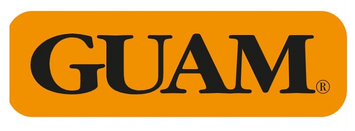 GUAM PANTY VENTRE PIATTO SNELLENTE S-M 42-44 - Farmaunclick.it