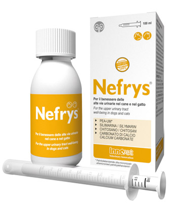 NEFRYS VEG 100 100 ML CON SIRINGA DOSATRICE ALIMENTO COMPLEMENTARE PER CANI E GATTI - Farmaunclick.it