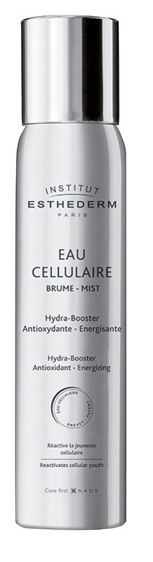 INSTI EAU CELLULAIRE BRUME 100 ML - Farmaunclick.it