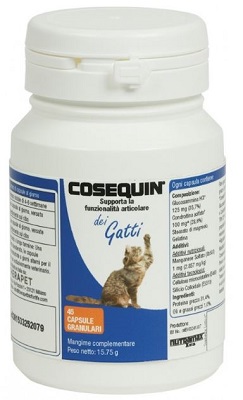 COSEQUIN GATTI 45 CAPSULE - Farmaunclick.it