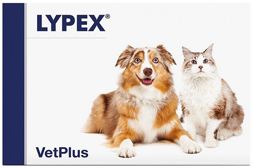 LYPEX 60 CAPSULE - Farmaunclick.it