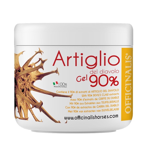 ARNICA GEL 90% 250 ML - Farmaunclick.it