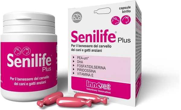 SENILIFE PLUS 30 CAPSULE - Farmaunclick.it