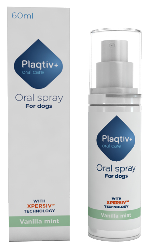 PLAQTIV+ ORAL CARE SPRAY ORALE 60 ML - Farmaunclick.it