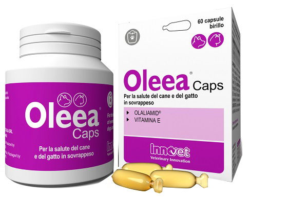 OLEEA CAPS 60 CAPSULE - Farmaunclick.it